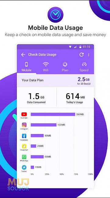 Check Internet Data Usage