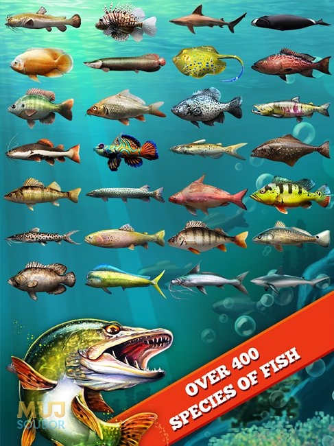 Přes 400 druhů ryb