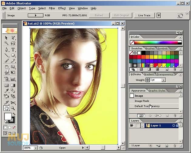 adobe illustrator v10 free download